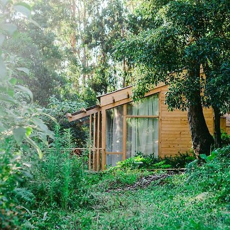 Cabanas Da Viscondessa Urzelina Extérieur photo